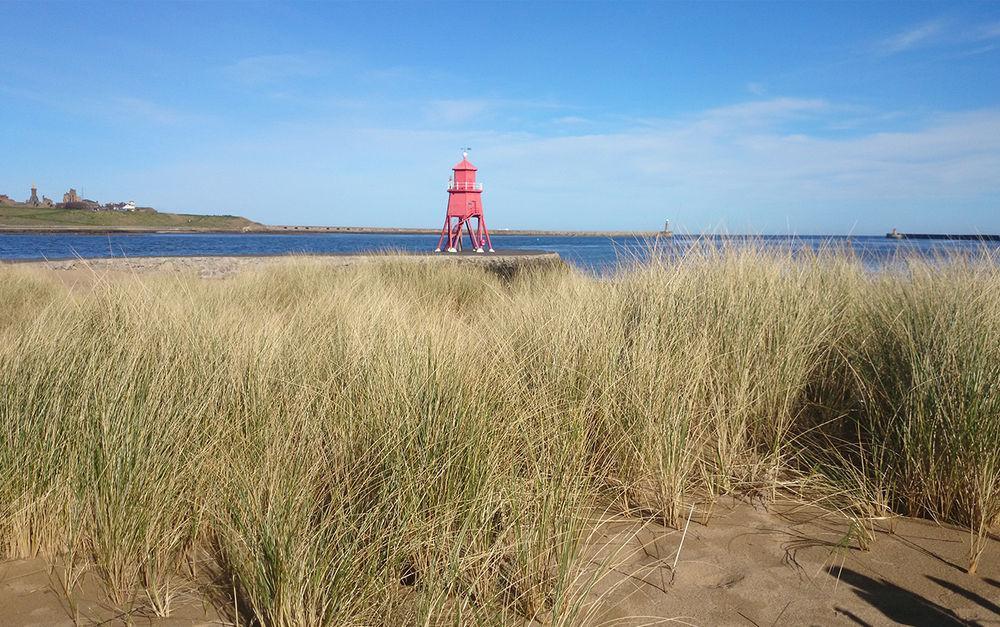 The Little Haven Hotel On The Beach South Shields Bagian luar foto